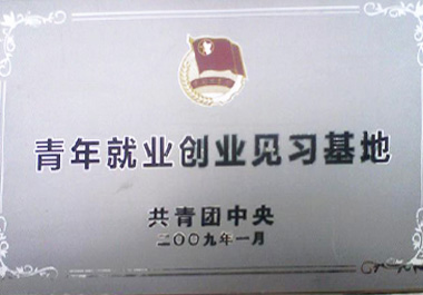 2009年1月，“青年餐廳”被“共青團(tuán)中央”認(rèn)證為“青年就業(yè)創(chuàng)業(yè)見習(xí)基地”